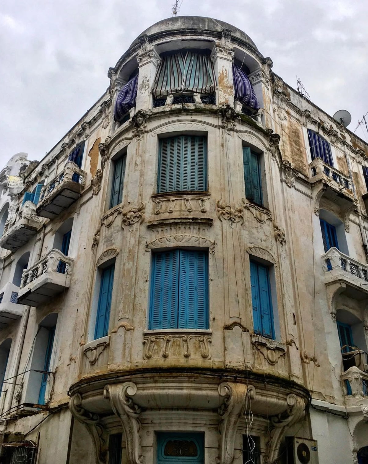 Photo 10 — Rawdha Hidri