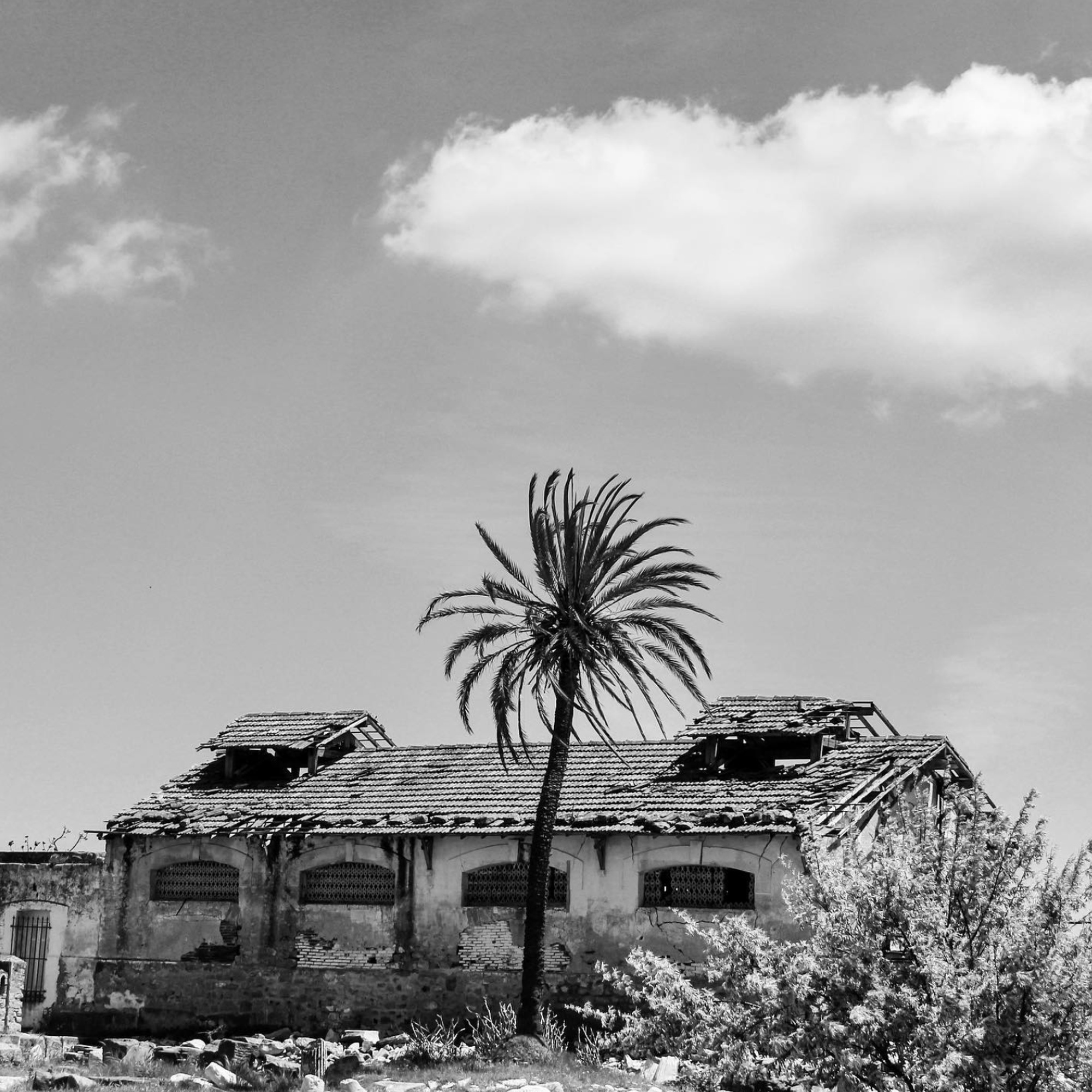 Photo 8 — Rawdha Hidri